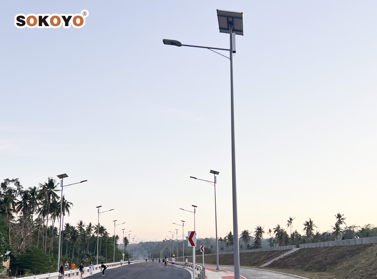 solar_street_light_in_PH-8大.jpeg